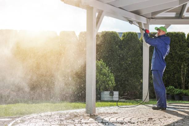 Best Sidewalk and Walkway Cleaning  in Sterlington, LA
